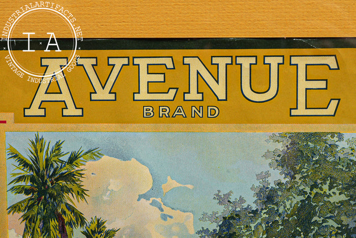 Antique Avenue Brand Citrus Framed Fruit Crate Label