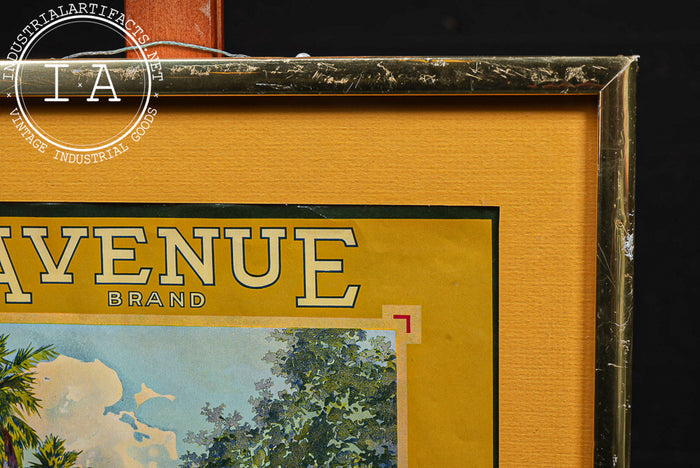 Antique Avenue Brand Citrus Framed Fruit Crate Label
