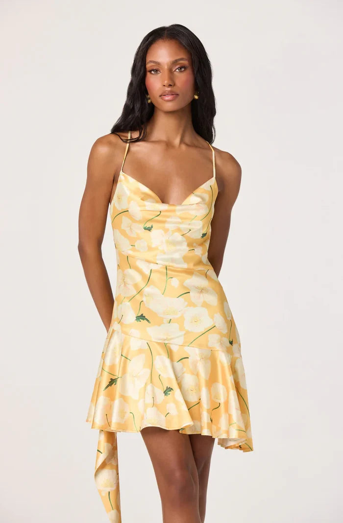 ASTR | Paloma Dress in Tangerine Floral