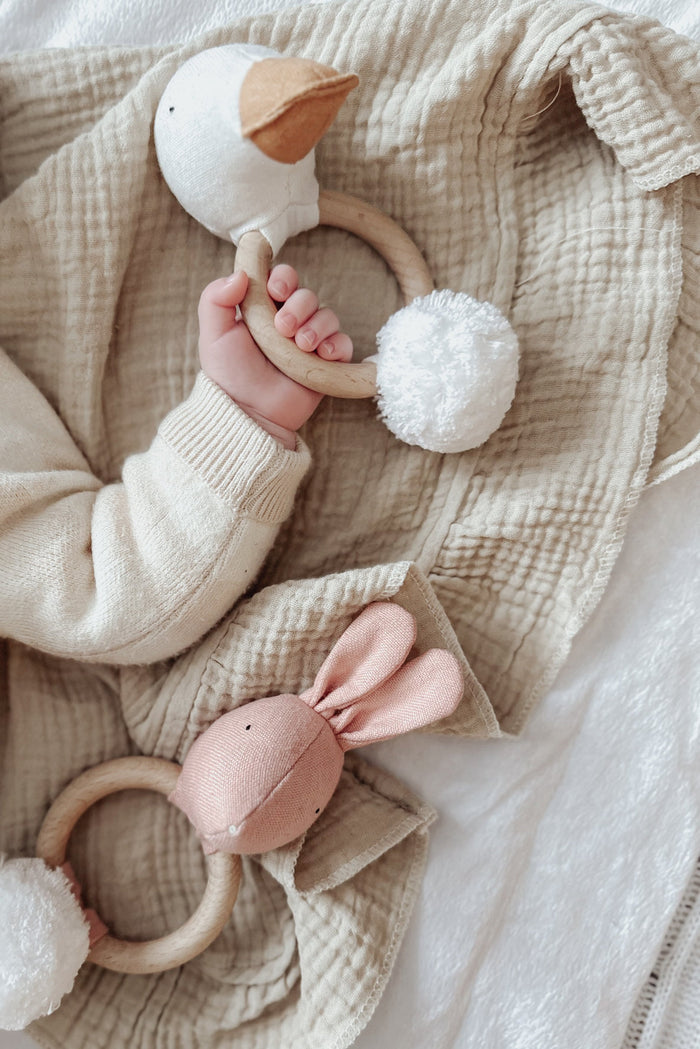 Baby Teethers