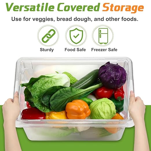 LOYIM 2 Pack 5 Gallon Polycarbonate Food Storage Containers with Lids