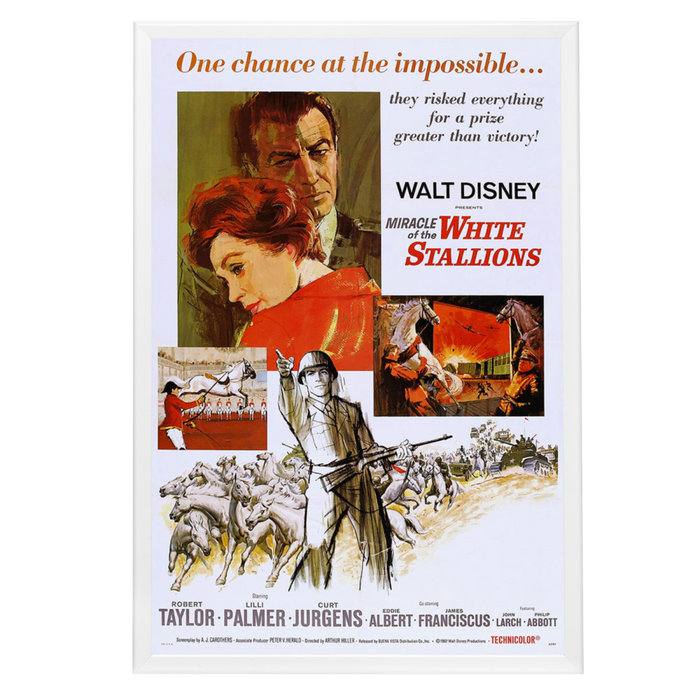 "Miracle Of The White Stallions" (1963) Framed Movie Poster